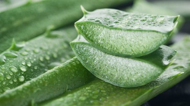 Aloe Vera Benefits for skin