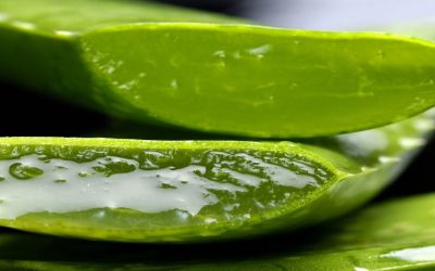 Aloe Vera gel – How to make it at home?