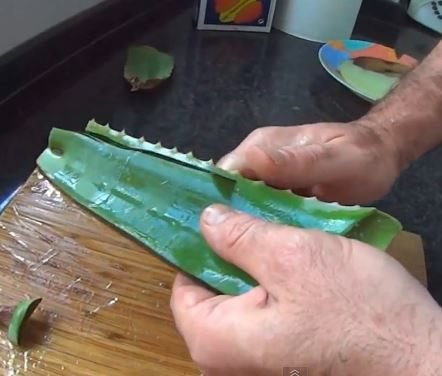 Remove Edges of Aloe Vera Leaves, how to make aloe vera gel at home