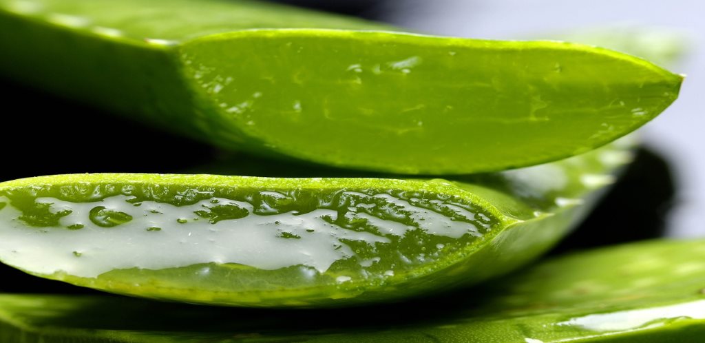 Aloe Vera gel – How to make it at home?