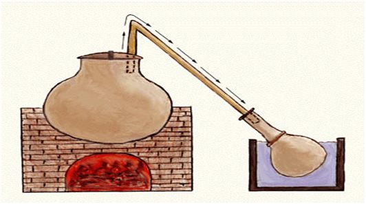 steam distillation oil-extraction-process